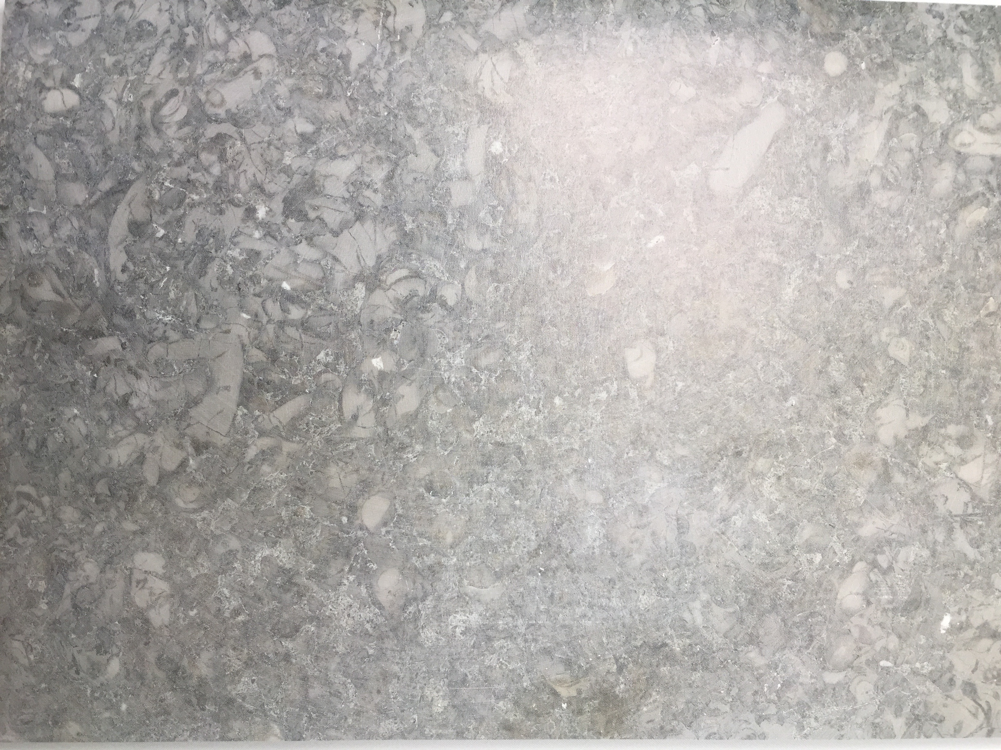 Kirchheimer Muschelkalk 