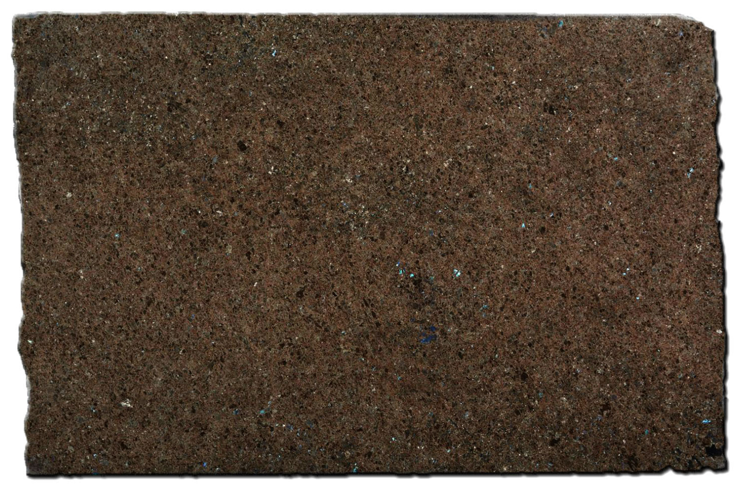 Labrador Antique